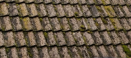 Acoperiș înainte de curățare - Târgoviște